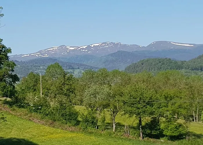 Lodge-sagne Ferme Rénovée Au Cœur Du Cantal à Proximité De La Station De Du Lioran