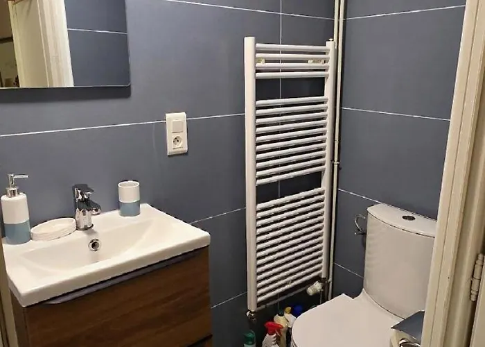 Lodge-sagne Ferme Rénovée Au Cœur Du Cantal à Proximité De La Station De Du Lioran *